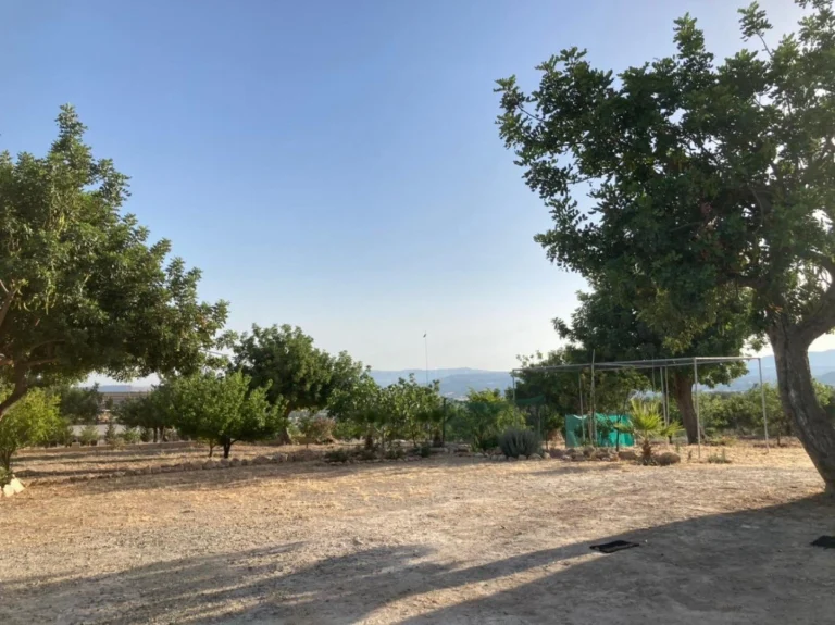 7,358m² Plot for Sale in Prastio Avdimou, Limassol District