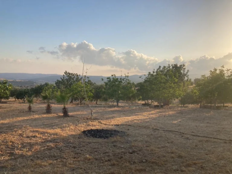 7,358m² Plot for Sale in Prastio Avdimou, Limassol District