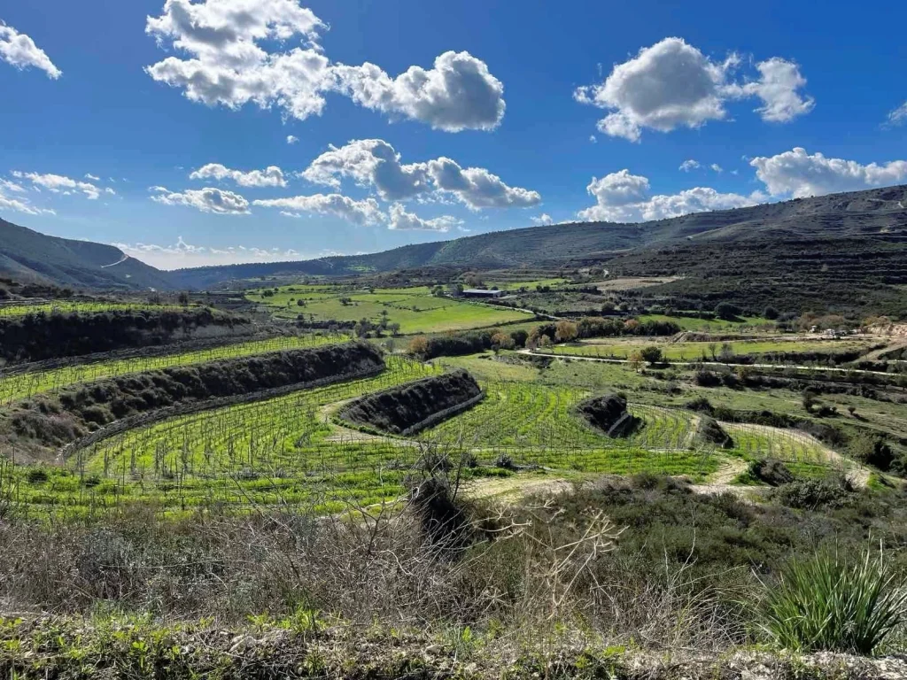 3,011m² Plot for Sale in Limassol District