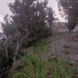 1,160m² Plot for Sale in Kamares, Paphos District