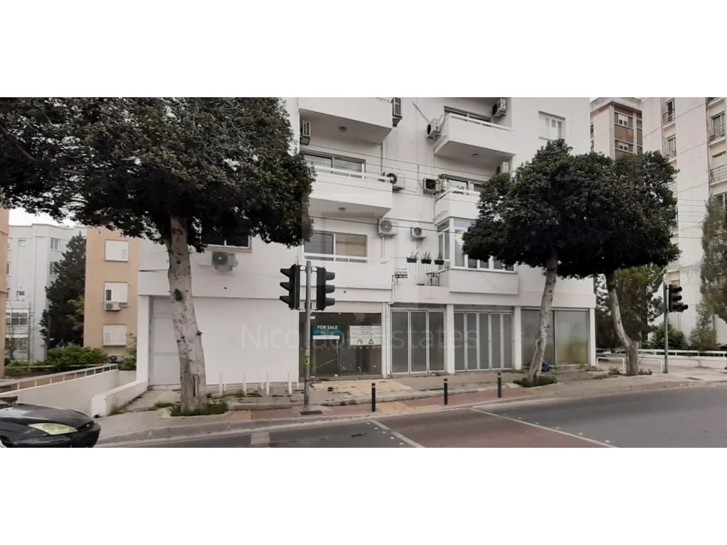 264m² Commercial for Sale in Agioi Omologites, Nicosia District