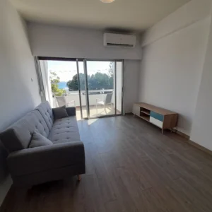 1 Bedroom Apartment for Rent in Limassol District