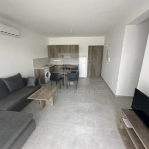1 Bedroom Apartment for Rent in Strovolos, Nicosia District
