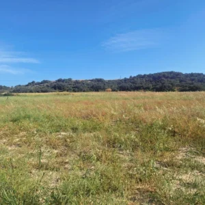 14,930m² Plot for Sale in Zygi, Limassol District