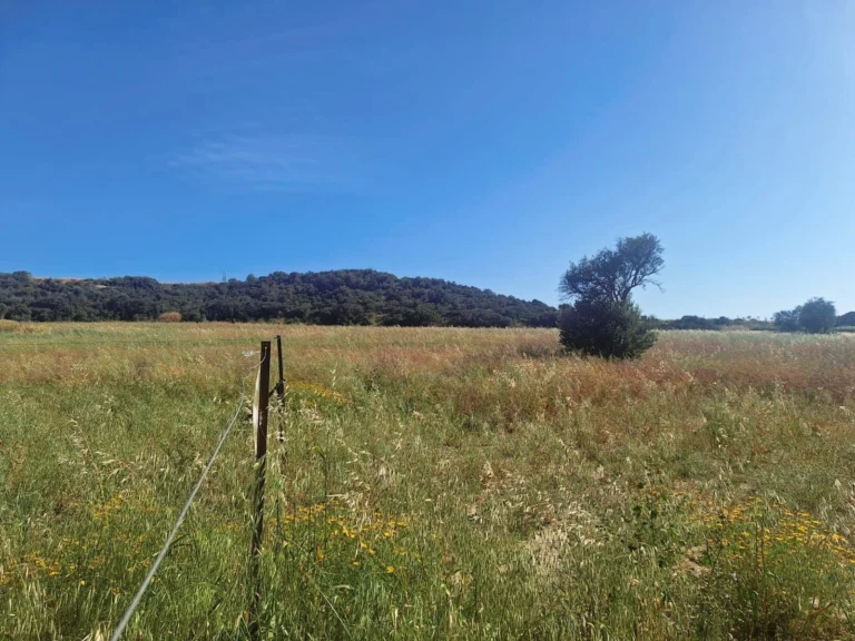 14,930m² Plot for Sale in Zygi, Limassol District