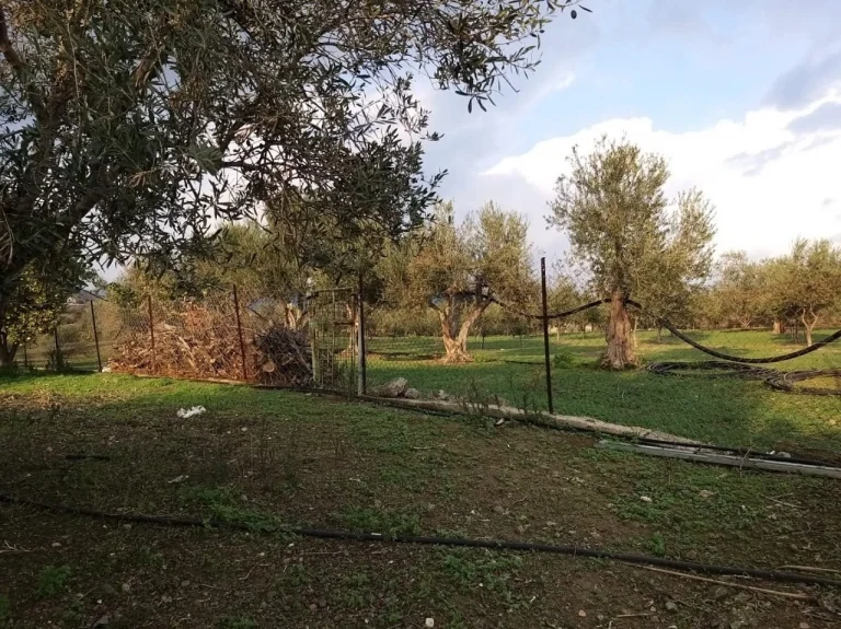 51,088m² Plot for Sale in Moni, Limassol District