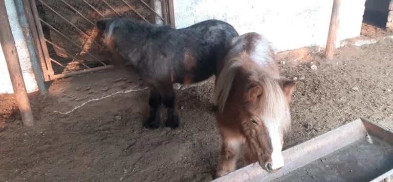 51,088m² Plot for Sale in Moni, Limassol District