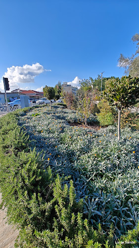 Green area