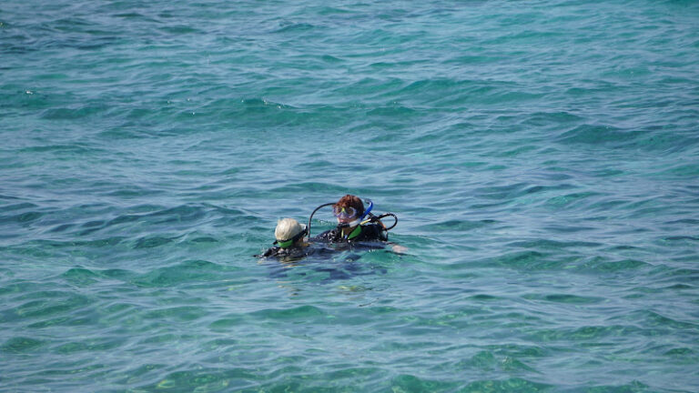 Dive Point St George