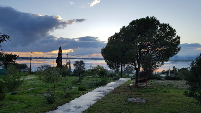 Aliki Petraki Kyprianou Forest Park