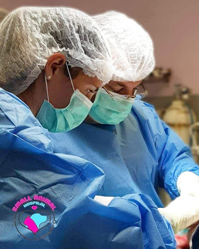 Small Animal Hospital By SH Pet Care