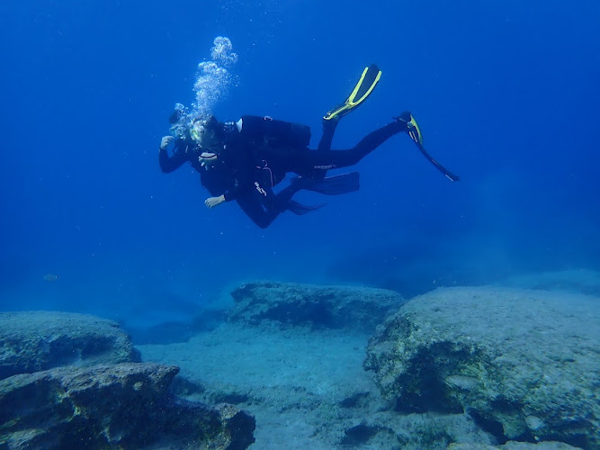 Ayia Napa Diving (Tauchbasis / Centrum Nurkowe)