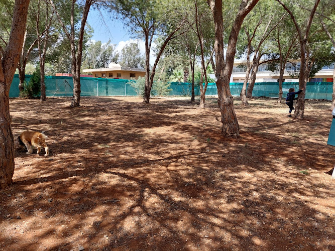 Dog Park