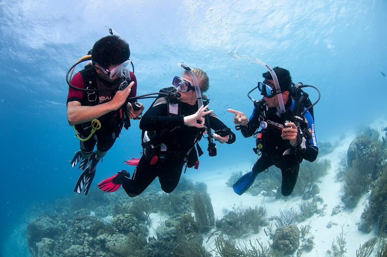 Padi Course Director Cyprus