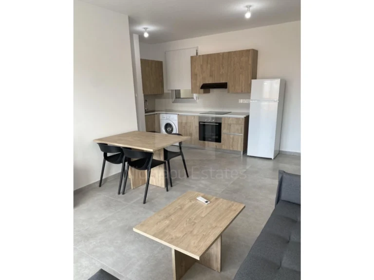 1 Bedroom Apartment for Rent in Agios Dometios, Nicosia District