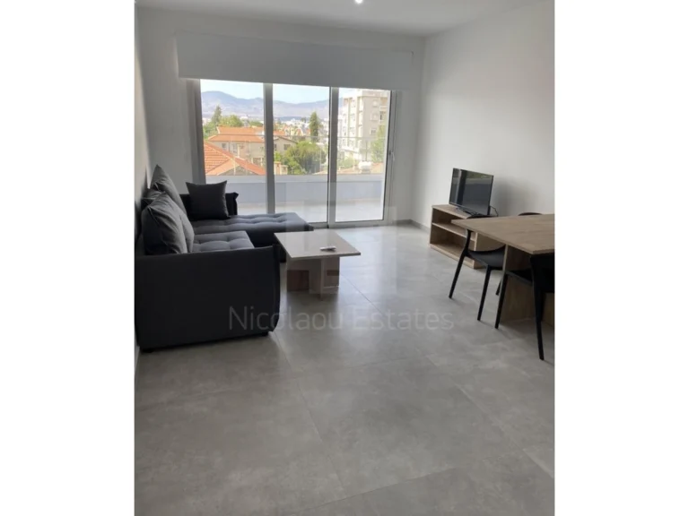 1 Bedroom Apartment for Rent in Agios Dometios, Nicosia District