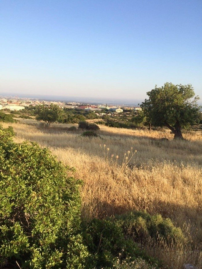 for Sale in Ypsonas, Limassol District
