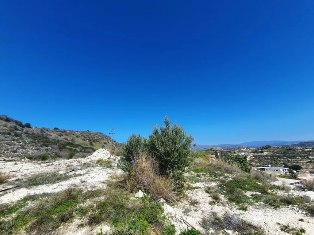 6,616m² Plot for Sale in Episkopi Lemesou, Paphos District