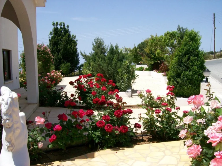 5 Bedroom House for Sale in Tala, Paphos District