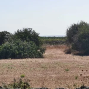 12,000m² Plot for Sale in Paphos District