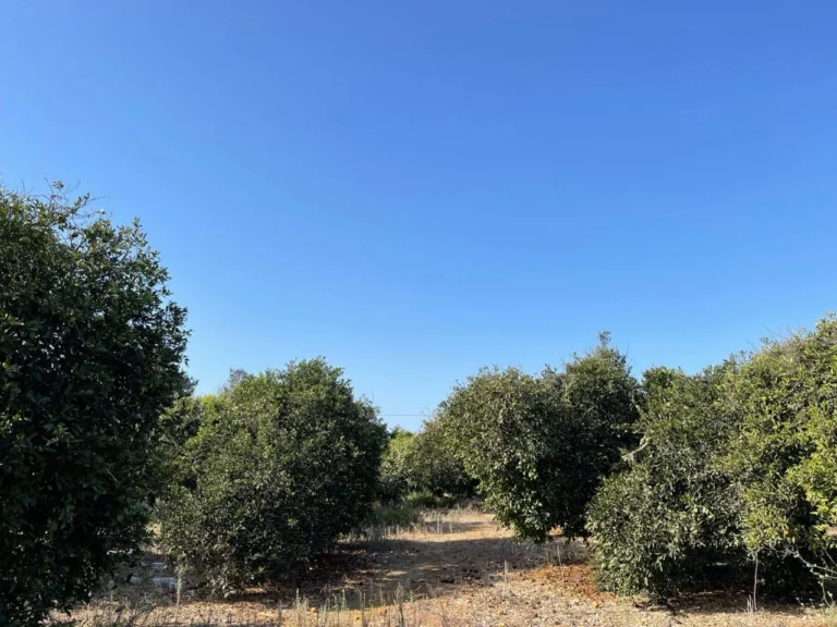 for Sale in Trachoni Lemesou, Limassol District