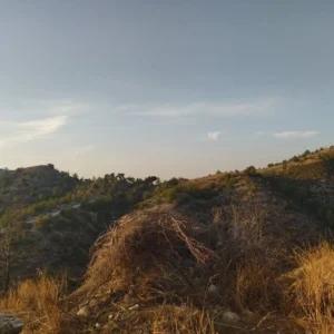 104,683m² Plot for Sale in Amargeti, Paphos District