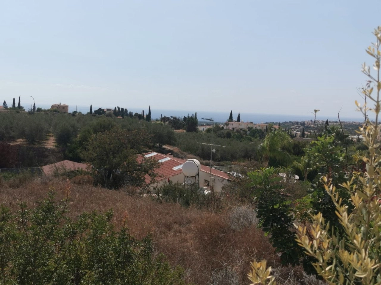 for Sale in Pegeia, Paphos District