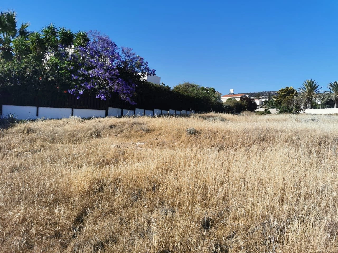 for Sale in Pegeia, Paphos District