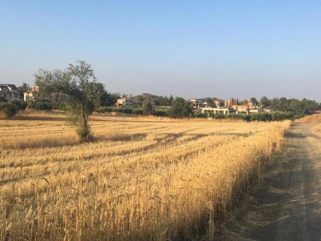 for Sale in Nicosia District