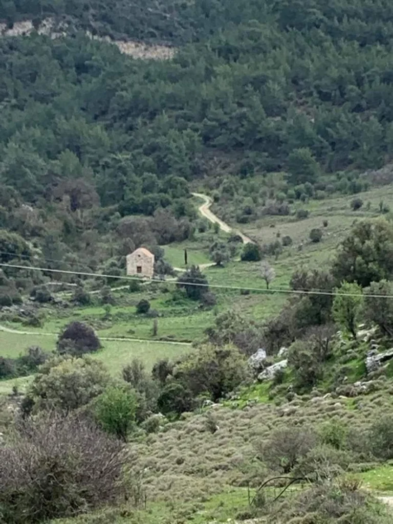 for Sale in Trachypedoula, Paphos District