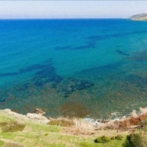 1,636m² Plot for Sale in Pomos, Paphos District