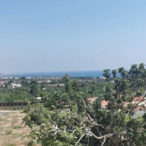 4 Bedroom House for Sale in Pegeia, Paphos District