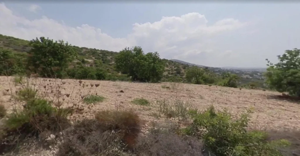 14,500m² Plot for Sale in Koili, Paphos District