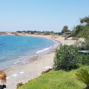 11,502m² Plot for Sale in Timi, Paphos District