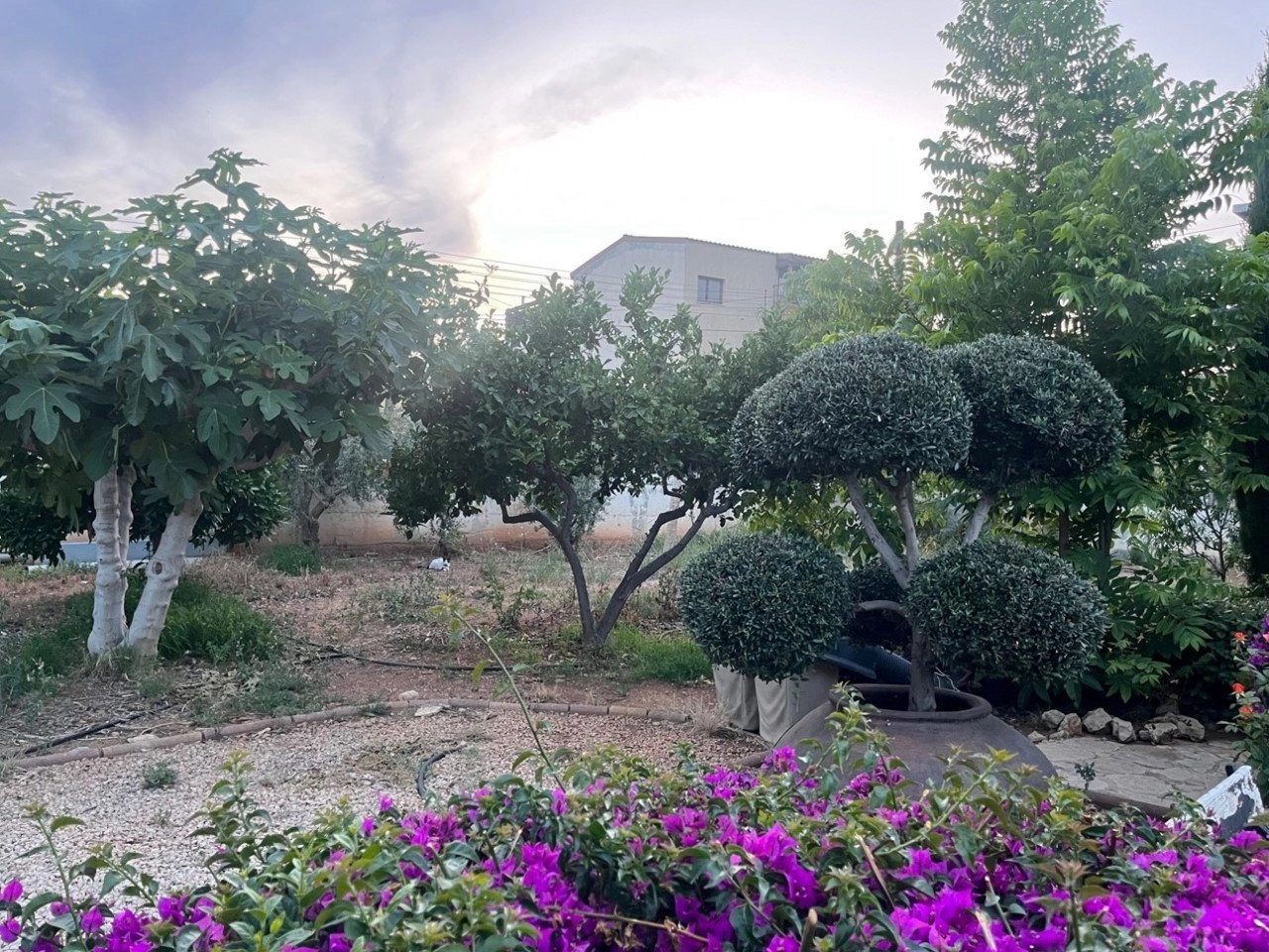 for Sale in Limassol – Zakaki