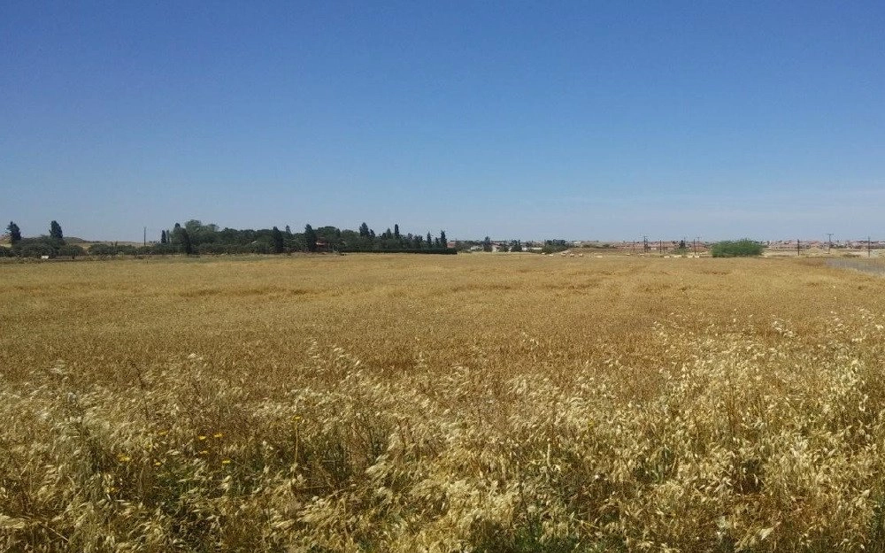 10,108m² Plot for Sale in Latsia, Nicosia District