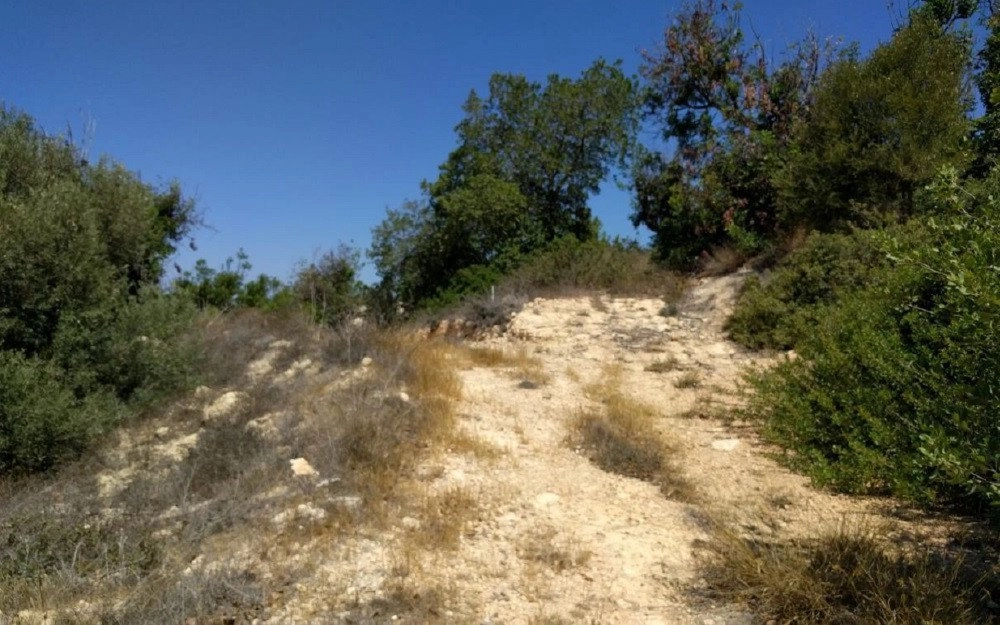 6,247m² Plot for Sale in Tala, Paphos District