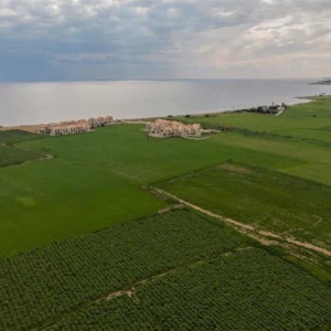 10,000m² Plot for Sale in Softades, Larnaca District