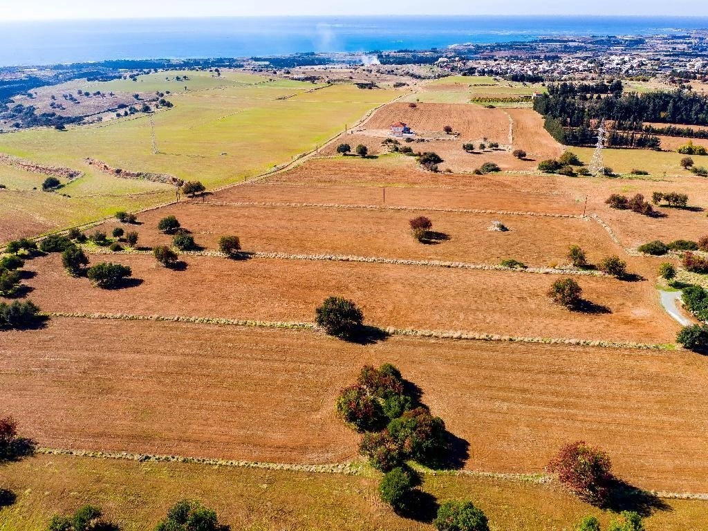 19,399m² Plot for Sale in Kouklia, Paphos District