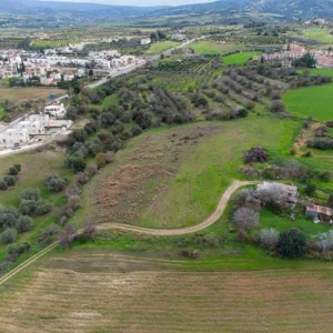 9,700m² Plot for Sale in Prodromi, Paphos District