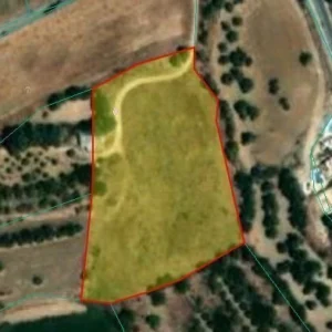 9,700m² Plot for Sale in Prodromi, Paphos District