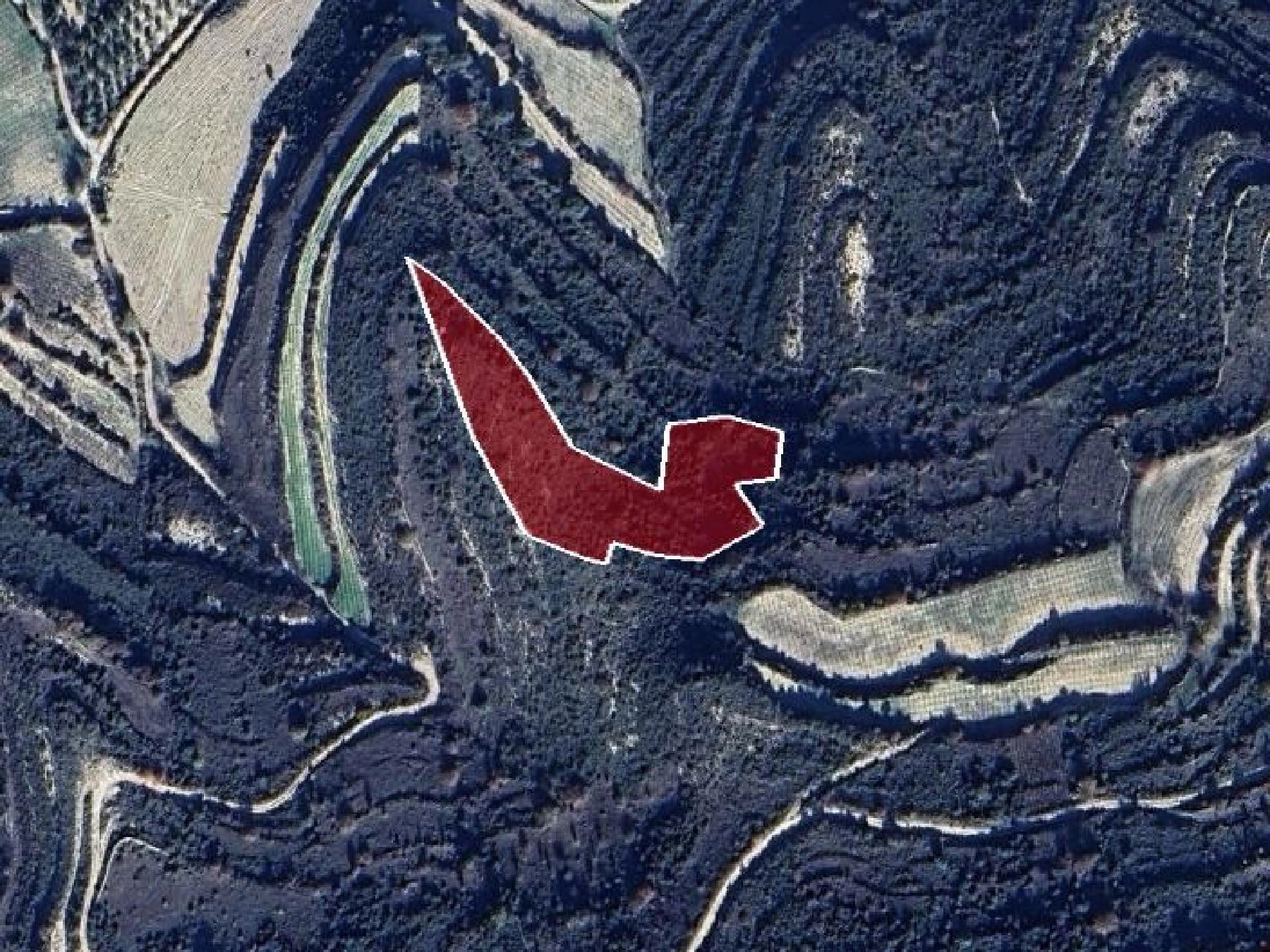 3,345m² Plot for Sale in Pachna, Limassol District
