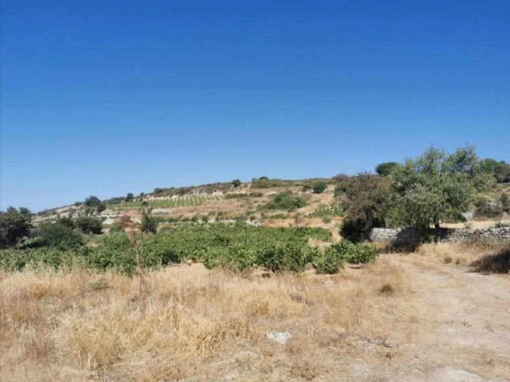 4,348m² Plot for Sale in Pachna, Limassol District
