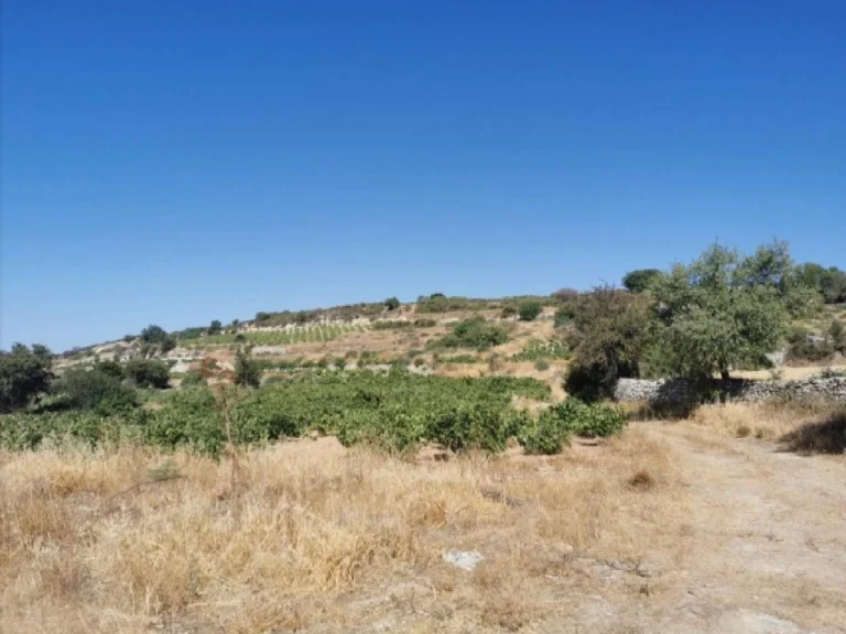 4,348m² Plot for Sale in Pachna, Limassol District