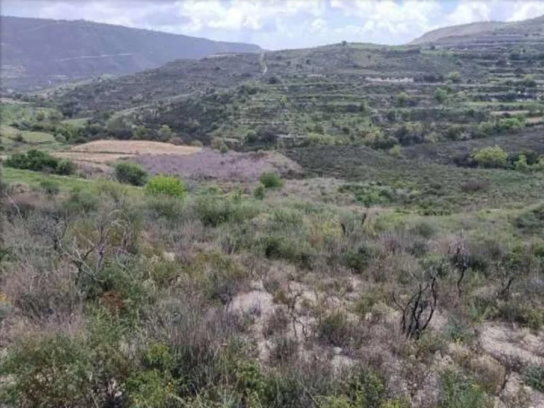 10,703m² Plot for Sale in Pachna, Limassol District