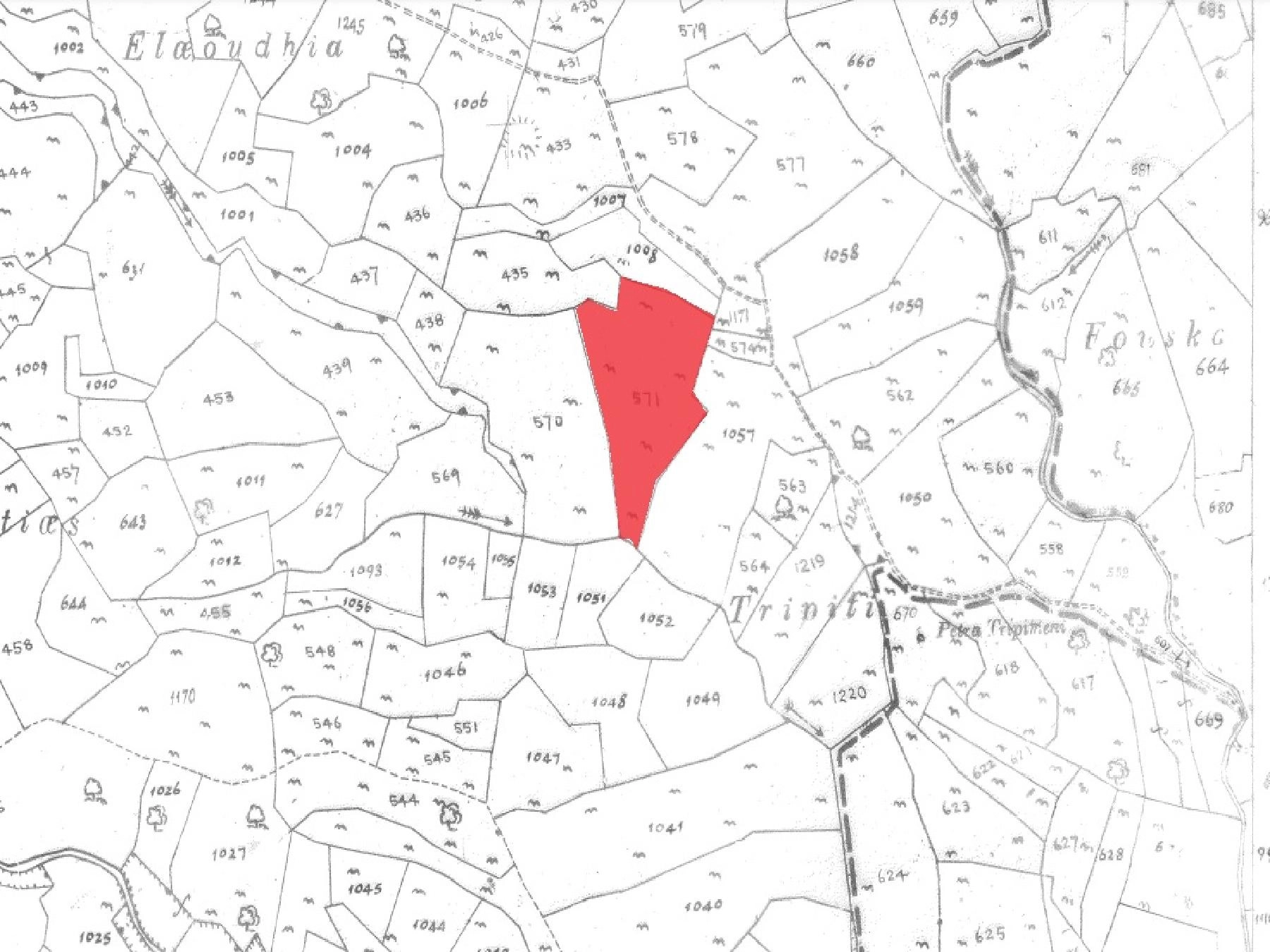 10,703m² Plot for Sale in Pachna, Limassol District