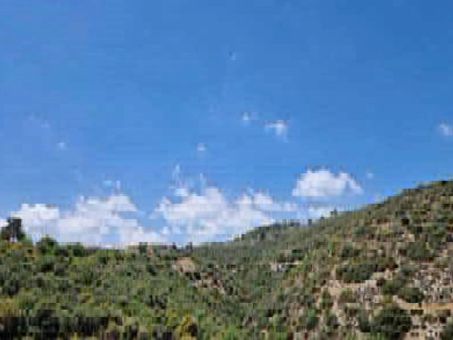 73,050m² Plot for Sale in Lofou, Limassol District