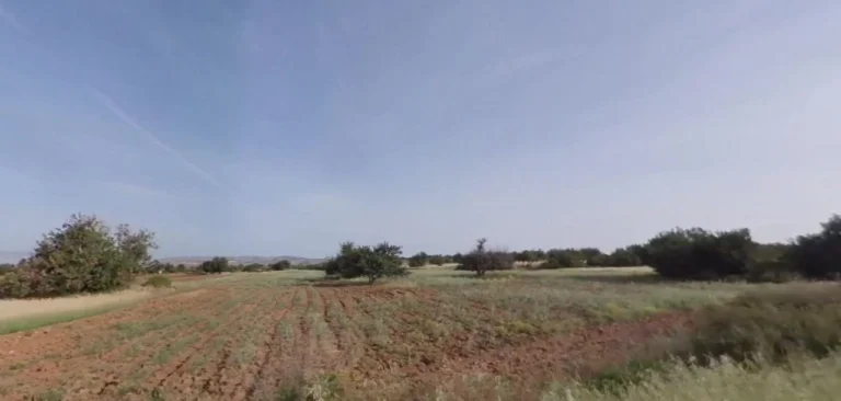 13,880m² Plot for Sale in Kouklia, Paphos District