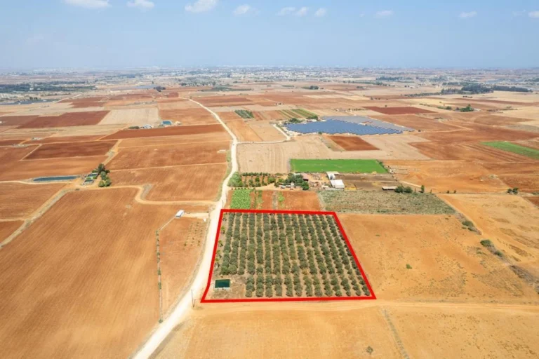 9,384m² Plot for Sale in Avgorou, Famagusta District