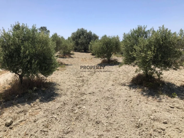 18,959m² Plot for Sale in Monagroulli, Limassol District